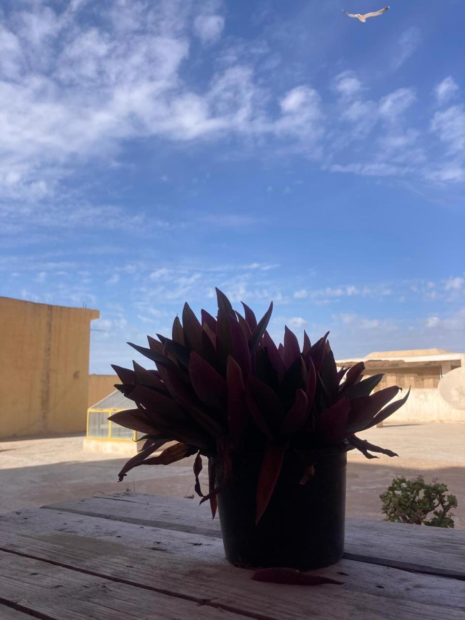 Apartamento Quiet House Tamraght Agadir Exterior foto