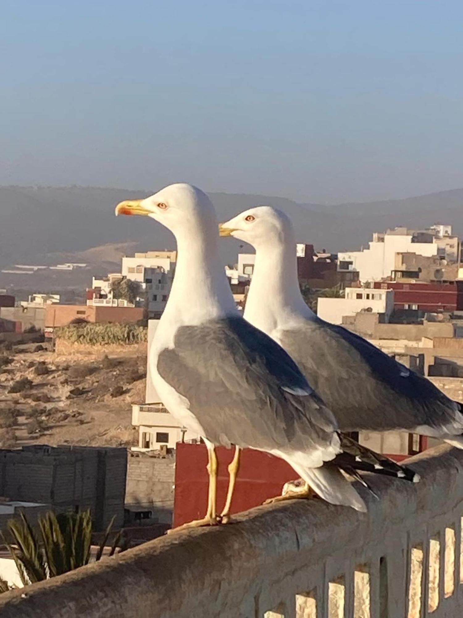 Apartamento Quiet House Tamraght Agadir Exterior foto